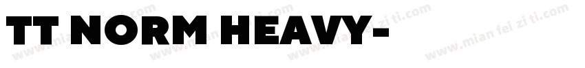 TT NORM HEAVY字体转换